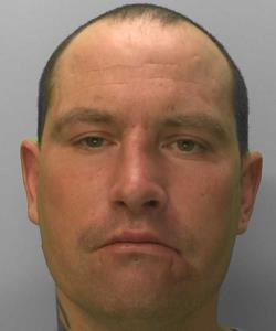 David Gibson, 37 - Brighton, East Sussex, United Kingdom